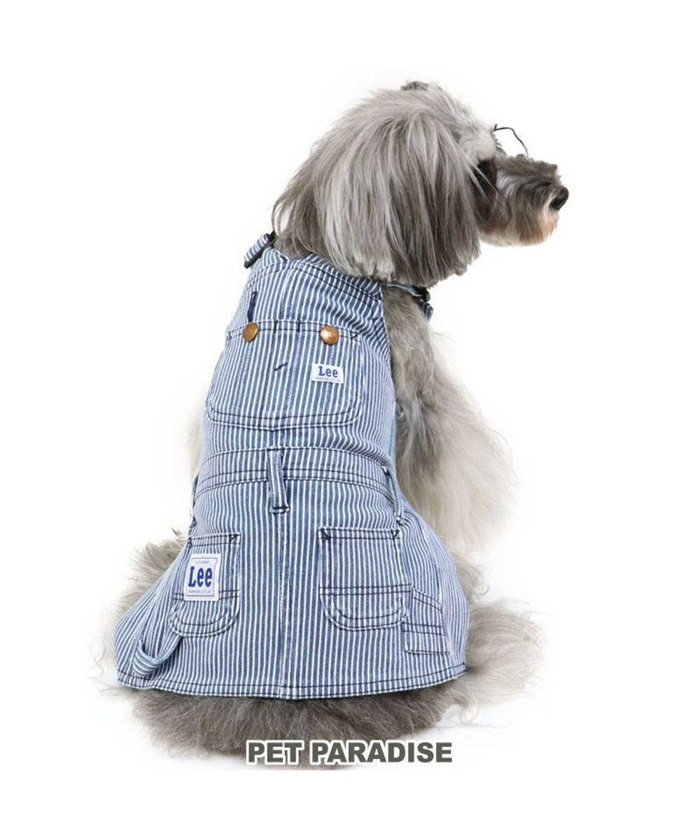 犬 服 春服 lee ヒッコリー ジャンパースカート 小型犬 ペットウエア ペットウェア ドッグウエア ドッグウェア ベビー 超小型犬 小型犬 Pet Paradise 通販 雑貨とペット用品の通販サイト マザーガーデン ペットパラダイス 犬 服 春服 lee ヒッコリー ジャンパースカート 小型犬 ペットウエア ペットウェア ドッグウエア ドッグウェア ベビー 超小型犬 小型犬 Pet Paradise 通販 雑貨とペット用品の通販サイト マザーガーデン ペットパラダイス