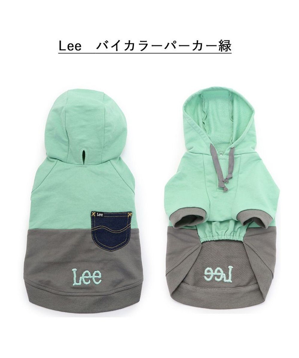 人気 lee パーカー グリーン