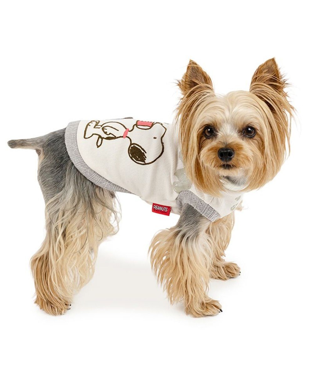 PET PARADISE スヌーピー プレミアムペティヒート  タンクトップ 《フレンズ柄》 小型犬 