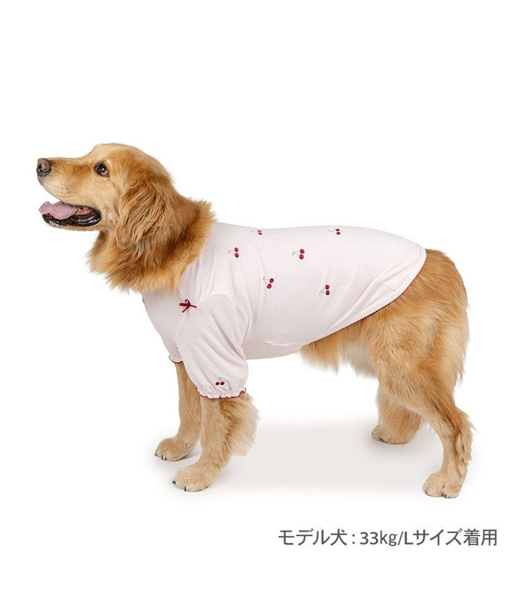PET PARADISE ペットパラダイス サーモキープ Tシャツ 《チェリー》 中型犬 大型犬 