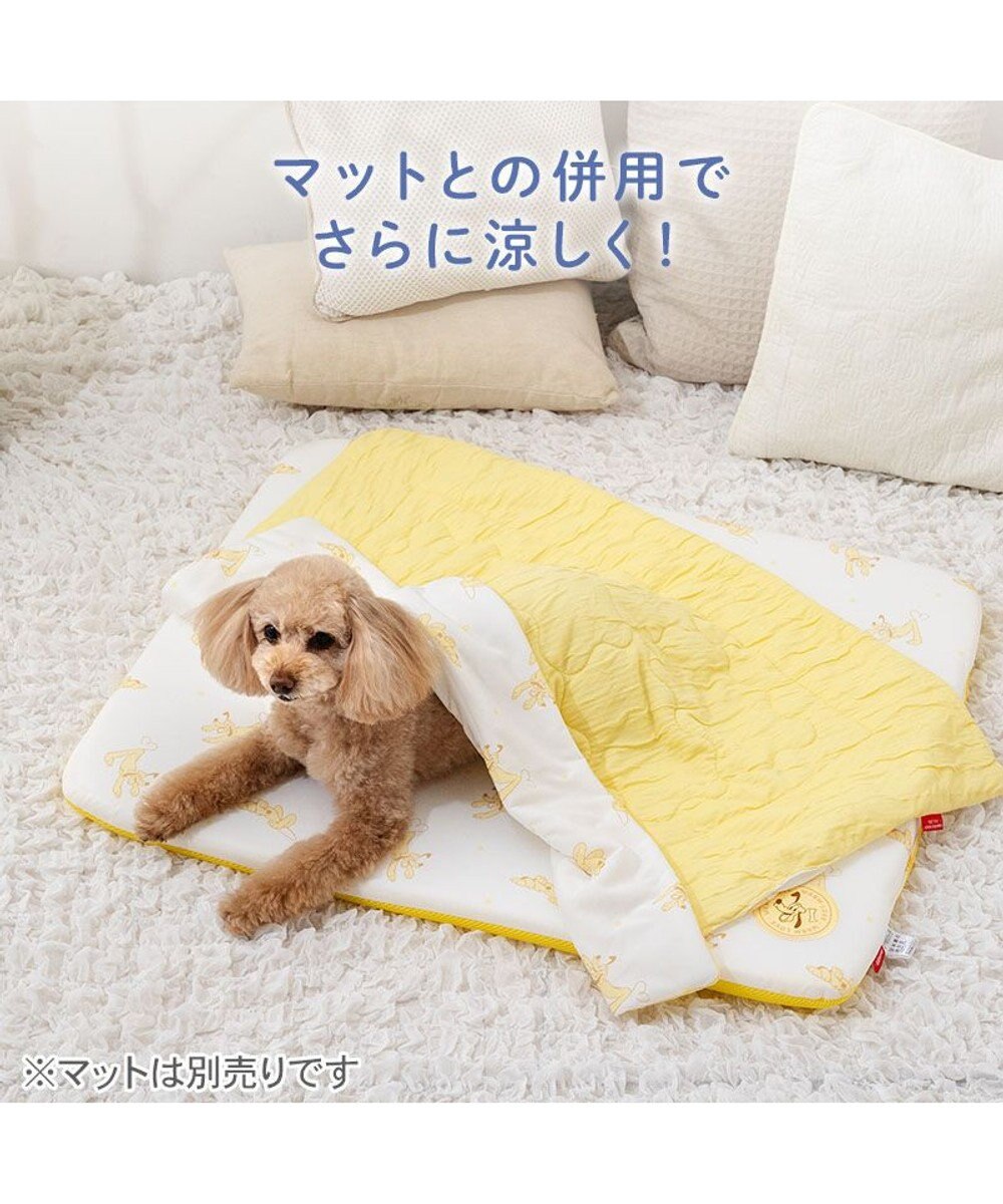 PET PARADISE ディズニー プルート もちっと クール ブランケット 