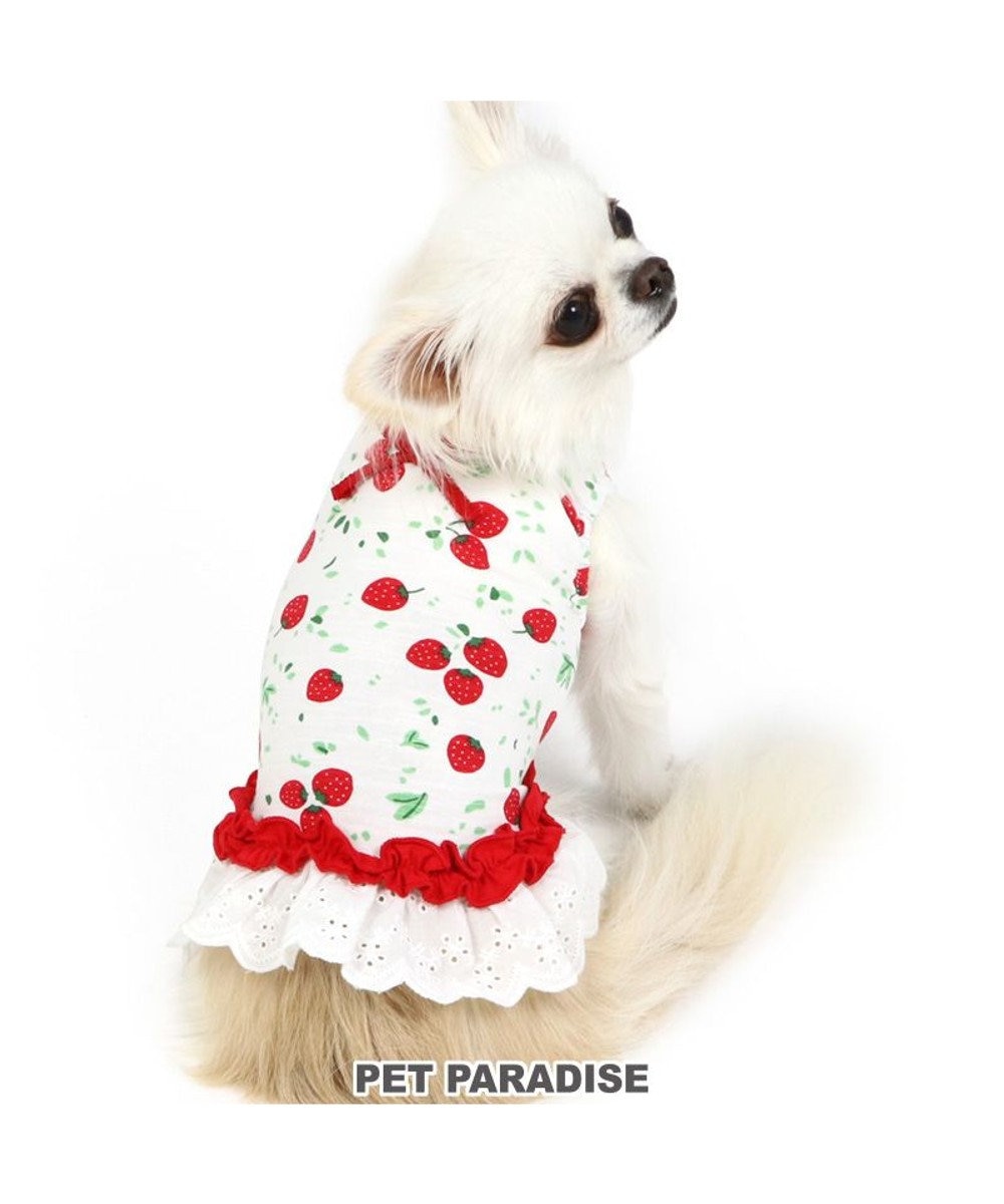 犬 服 夏服 タンクトップ 小型犬 苺レース ペットウエア ペットウェア ドッグウエア ドッグウェア ベビー 超小型犬 小型犬 Pet Paradise 通販 雑貨とペット用品の通販サイト マザーガーデン ペットパラダイス 犬 服 夏服 タンクトップ 小型犬 苺レース ペットウエア ペットウェア ドッグウエア ドッグウェア ベビー 超小型犬 小型犬 Pet Paradise 通販 雑貨とペット用品の通販サイト マザーガーデン ペットパラダイス