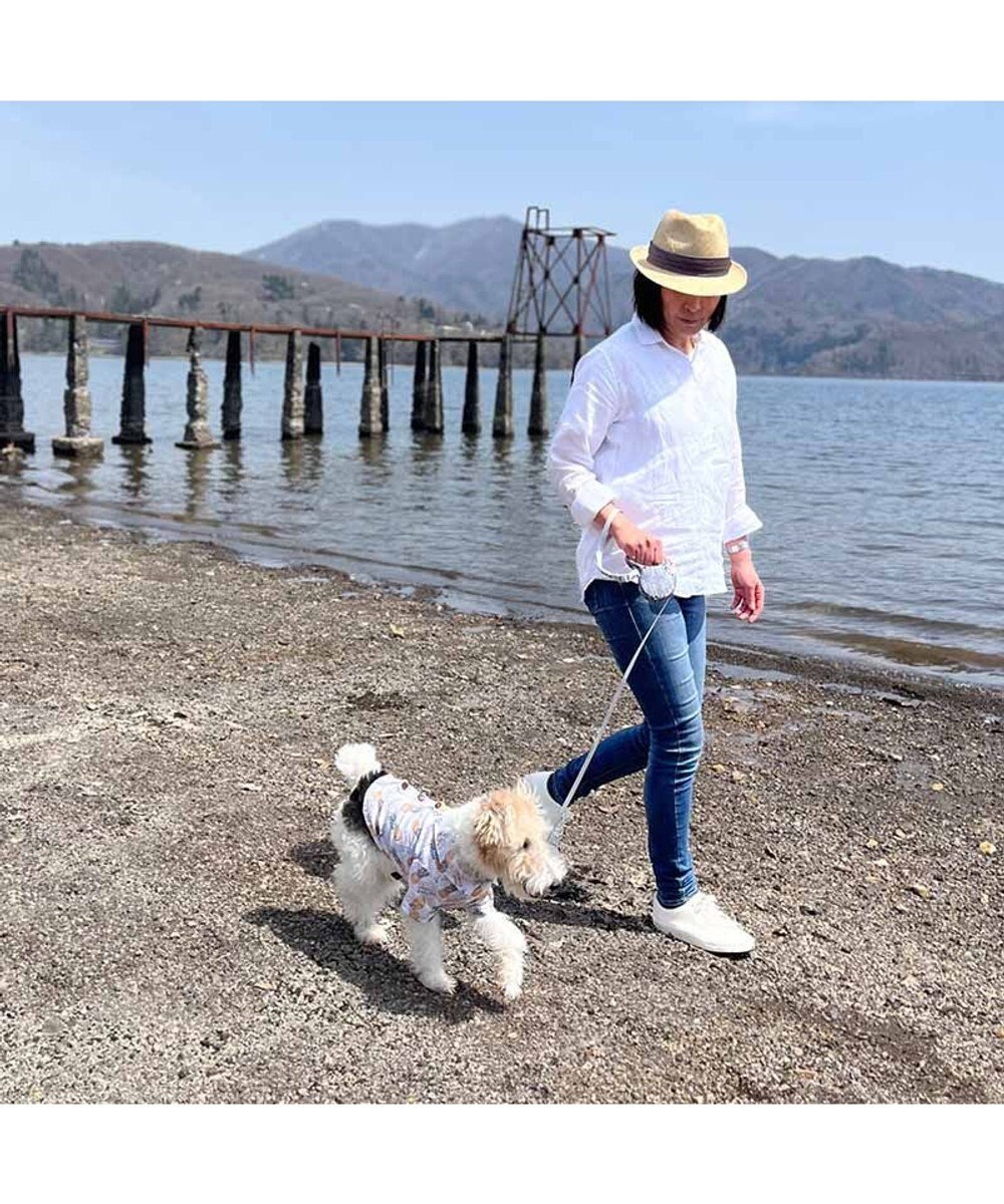 PET PARADISE ペットパラダイス 伸縮リード 《いちご柄 / ロゴ柄 》【小型犬】軽量 ロック式 