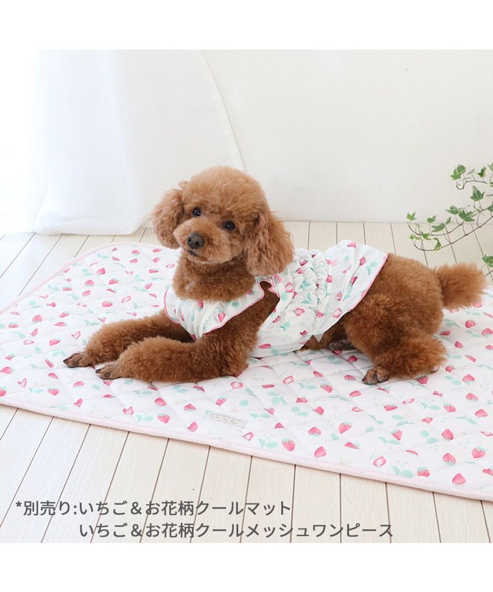 PET PARADISE ペットパラダイス エコメイド キャミソール 《苺柄》 小型犬 