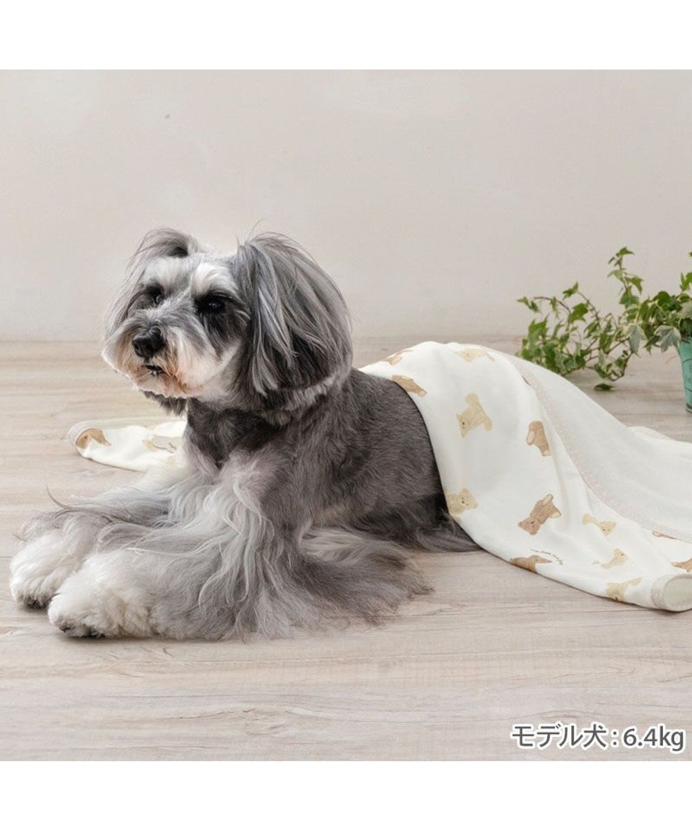 PET PARADISE ペットパラダイス クールケット 《くまちゃん》 小型犬