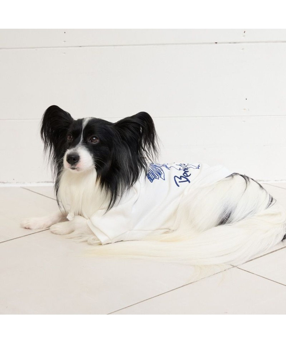 PET PARADISE ペットパラダイス Mai Kuraki ベニート パーカー 《ホワイト》 小型犬 