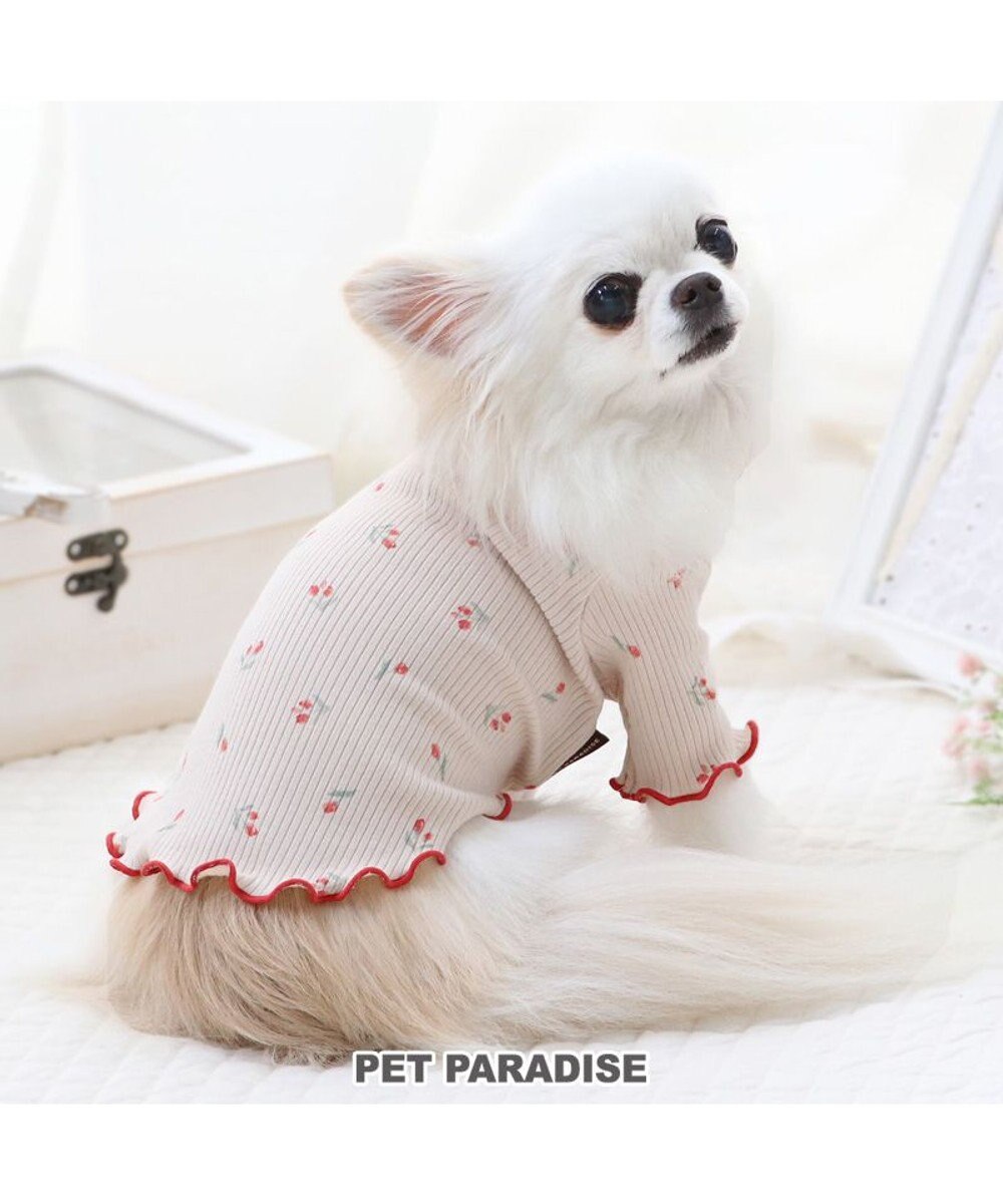 PET PARADISE ペットパラダイス お花のびのび リブ Tシャツ  小型犬 お花