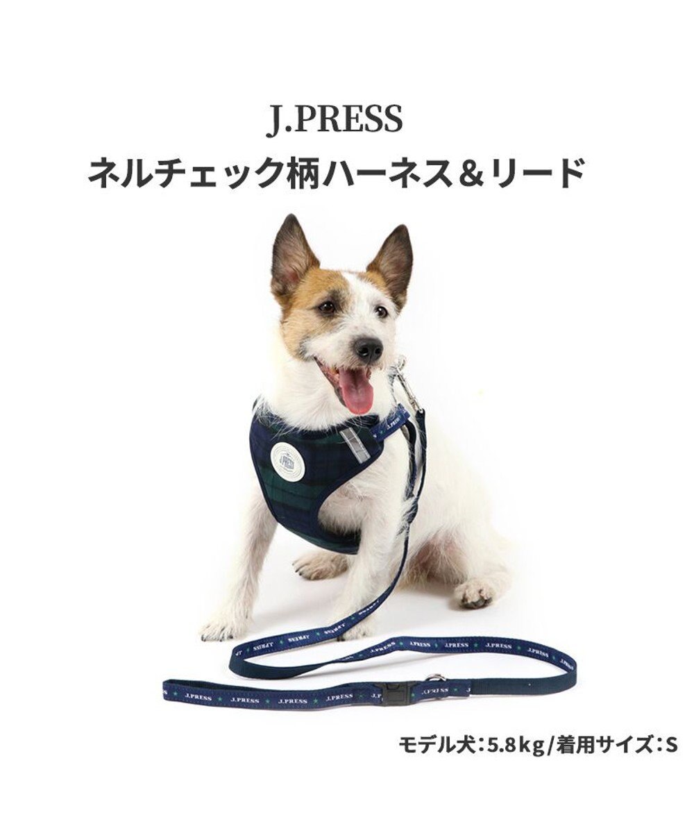 犬 ハーネス リード J Press ハーネス リード ｓｓ ブラックウォッチ 小型犬 おさんぽ おでかけ お出掛け おしゃれ オシャレ かわいい Pet Paradise 通販 雑貨とペット用品の通販サイト マザーガーデン ペットパラダイス