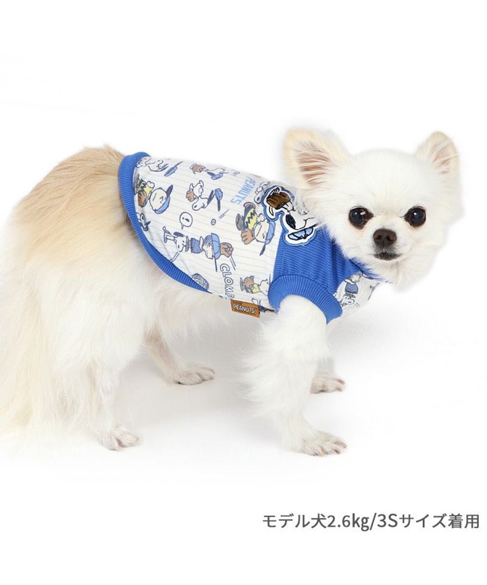 とろけるベッド Mサイズ ラビットファー パピー 小型犬 犬AN36 37 38 楽天市場】【8/4 20:00からP5倍】犬猫 小型犬 ベッド ふわふわ
