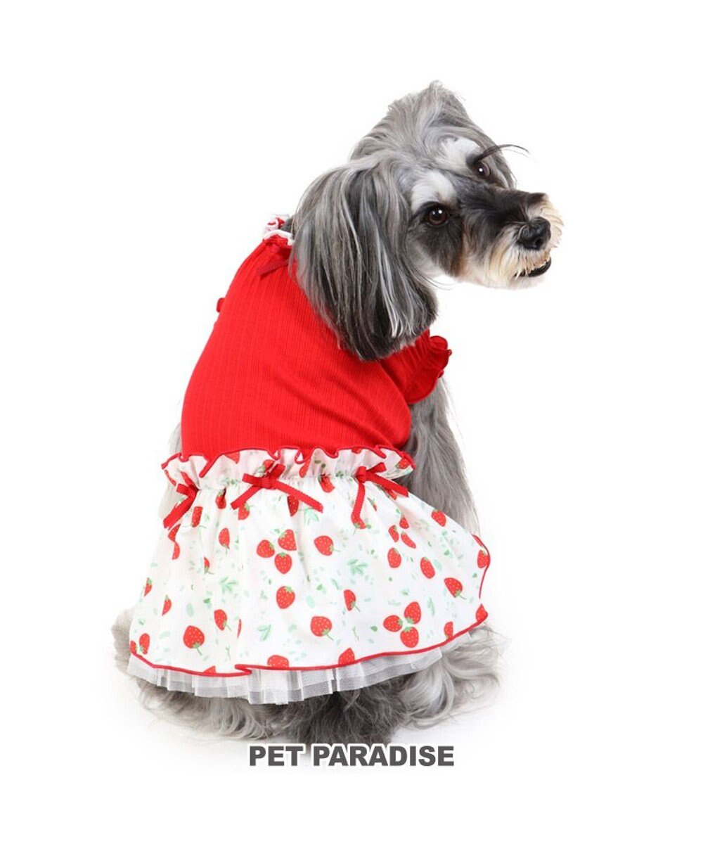 犬 服 夏服 ワンピース 小型犬 苺 赤 ペットウエア ペットウェア ドッグウエア ドッグウェア ベビー 超小型犬 小型犬 Pet Paradise 通販 雑貨とペット用品の通販サイト マザーガーデン ペットパラダイス 犬 服 夏服 ワンピース 小型犬 苺 赤 ペットウエア ペットウェア ドッグウエア ドッグウェア ベビー 超小型犬 小型犬 Pet Paradise 通販 雑貨とペット用品の通販サイト マザーガーデン ペットパラダイス