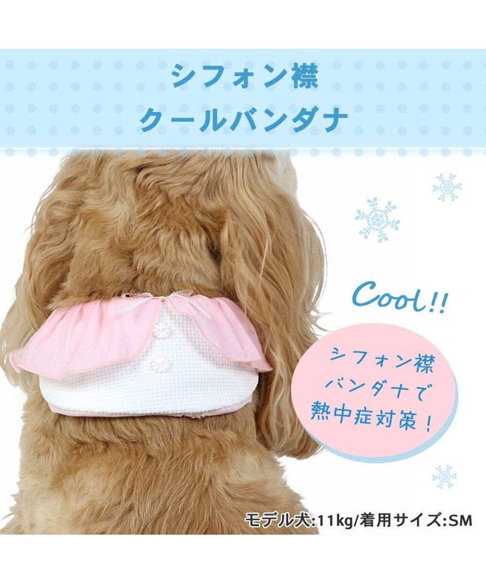 PET PARADISE クールネック バンダナ《 ボタニカル/ しろくま/シフォン襟》 保冷剤付き 【中型犬】【大型犬】 