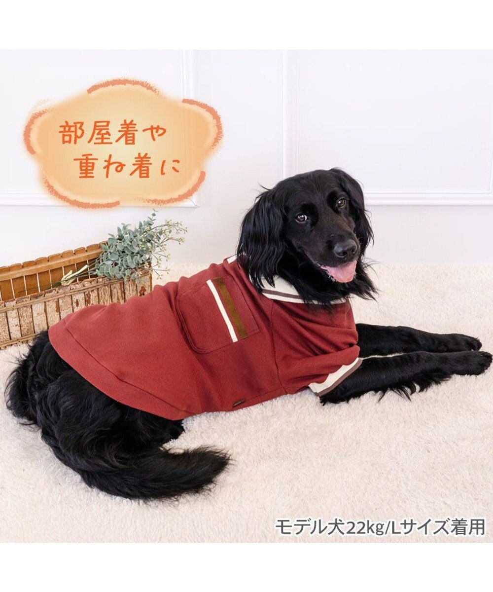 PET PARADISE ペットパラダイス プレミアム ぺティヒート スキッパーTシャツ 中型犬 大型犬