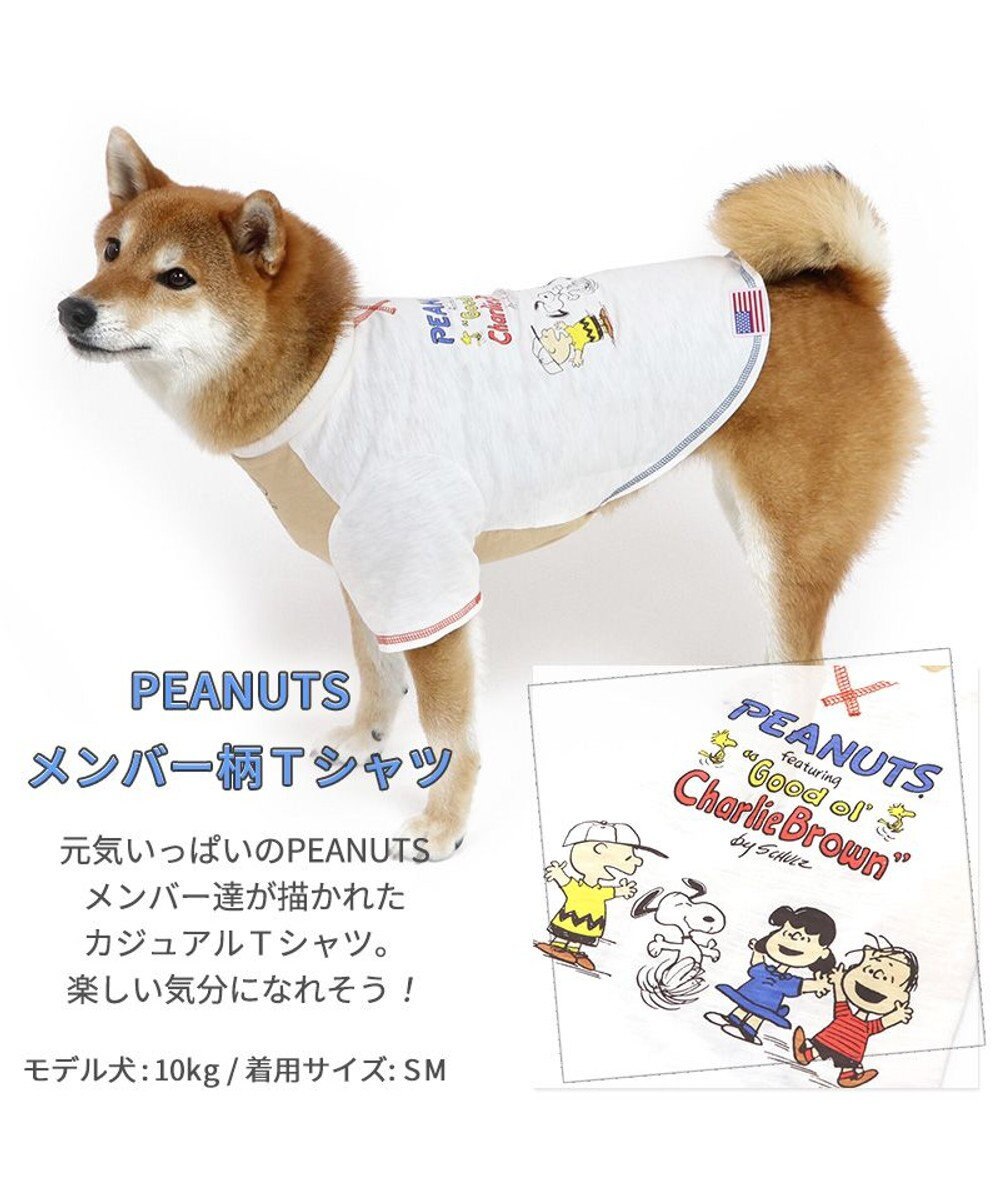 犬 服 スヌーピー Ｔシャツ 【中型犬】 【大型犬】 メンバー, 白~オフホワイト, Ｍ