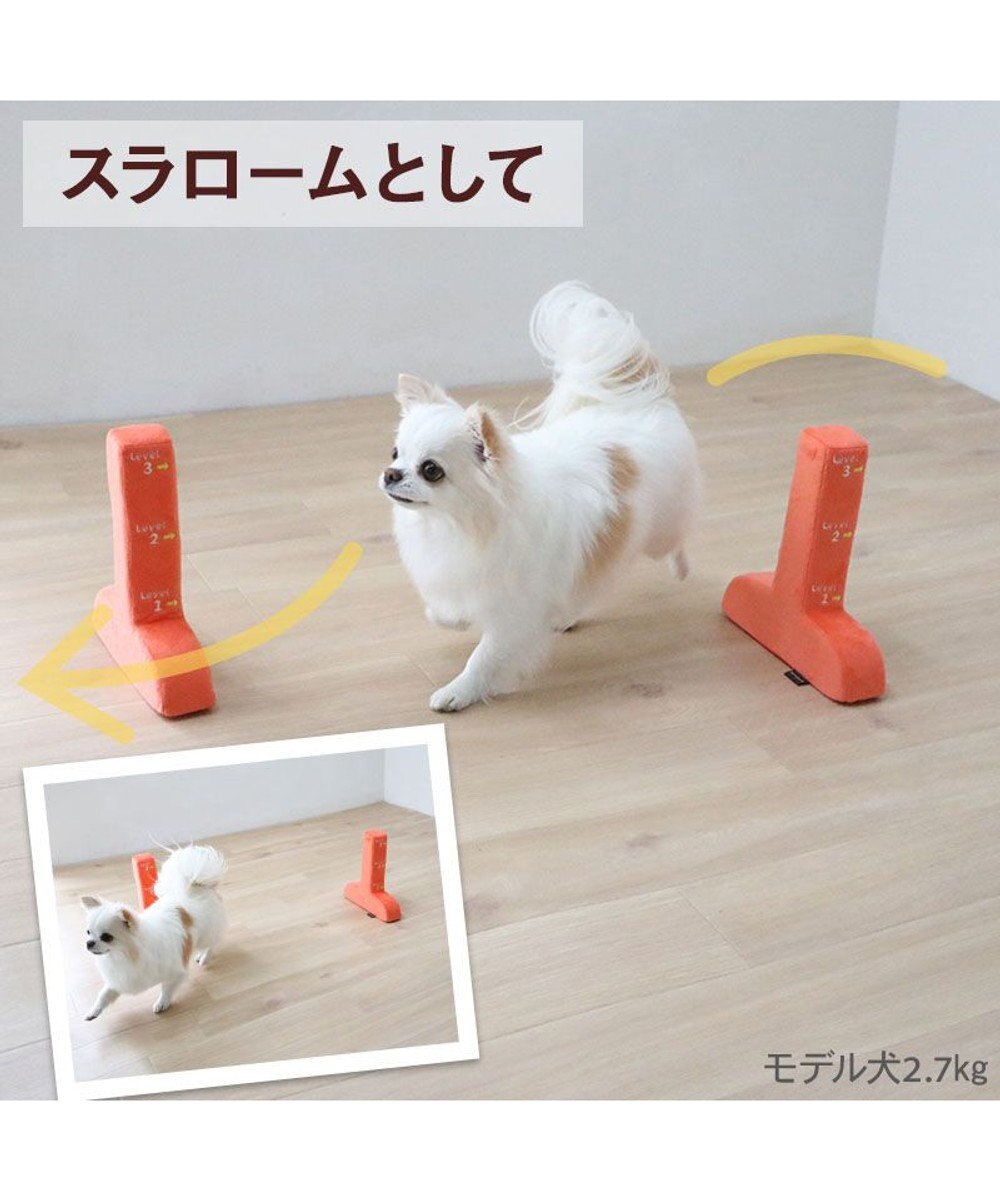 PET PARADISE ペットパラダイス わくわく ハードル トイ 