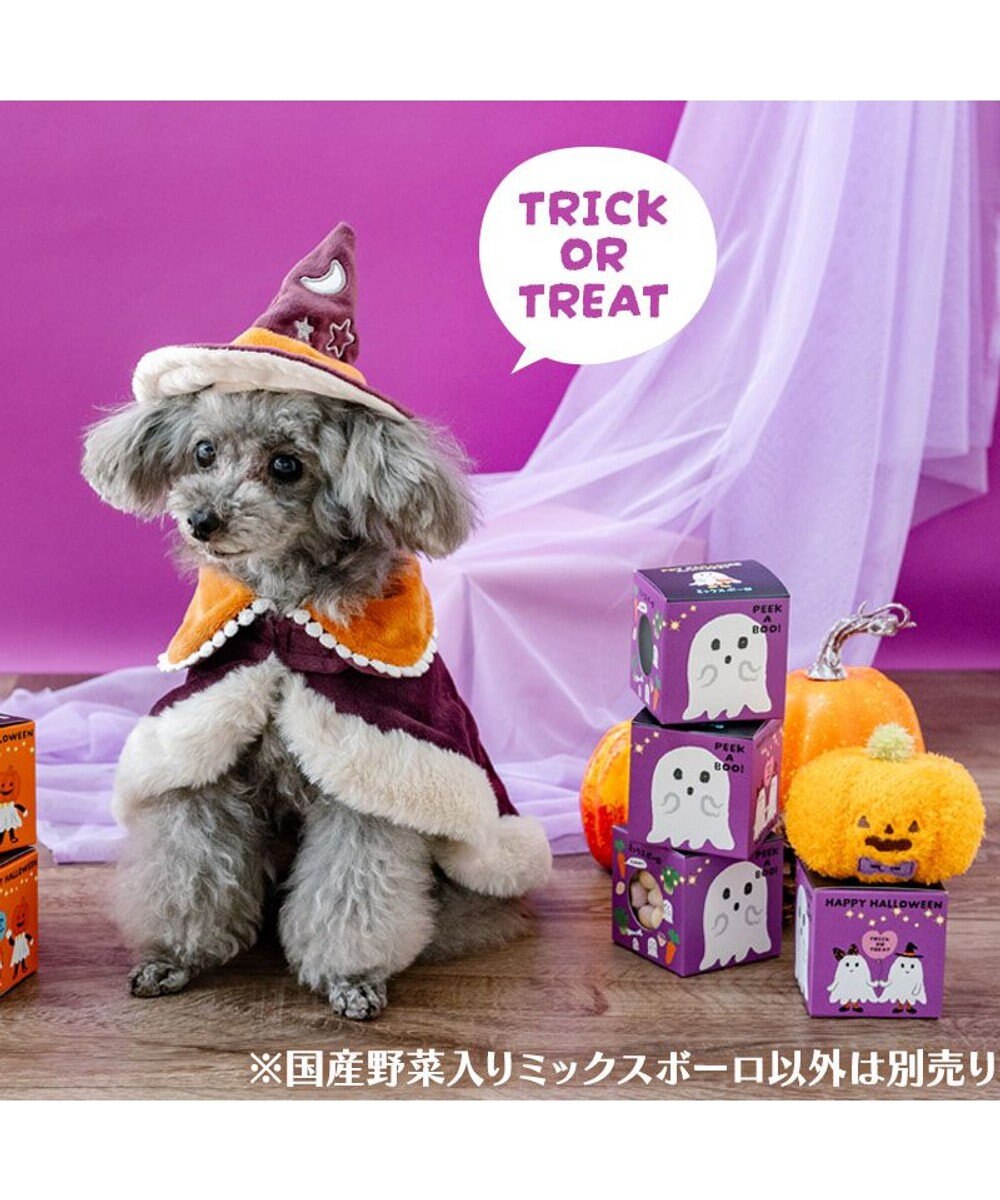 PET PARADISE ハロウィン おばけＢＯＸ ミックスボーロ 
