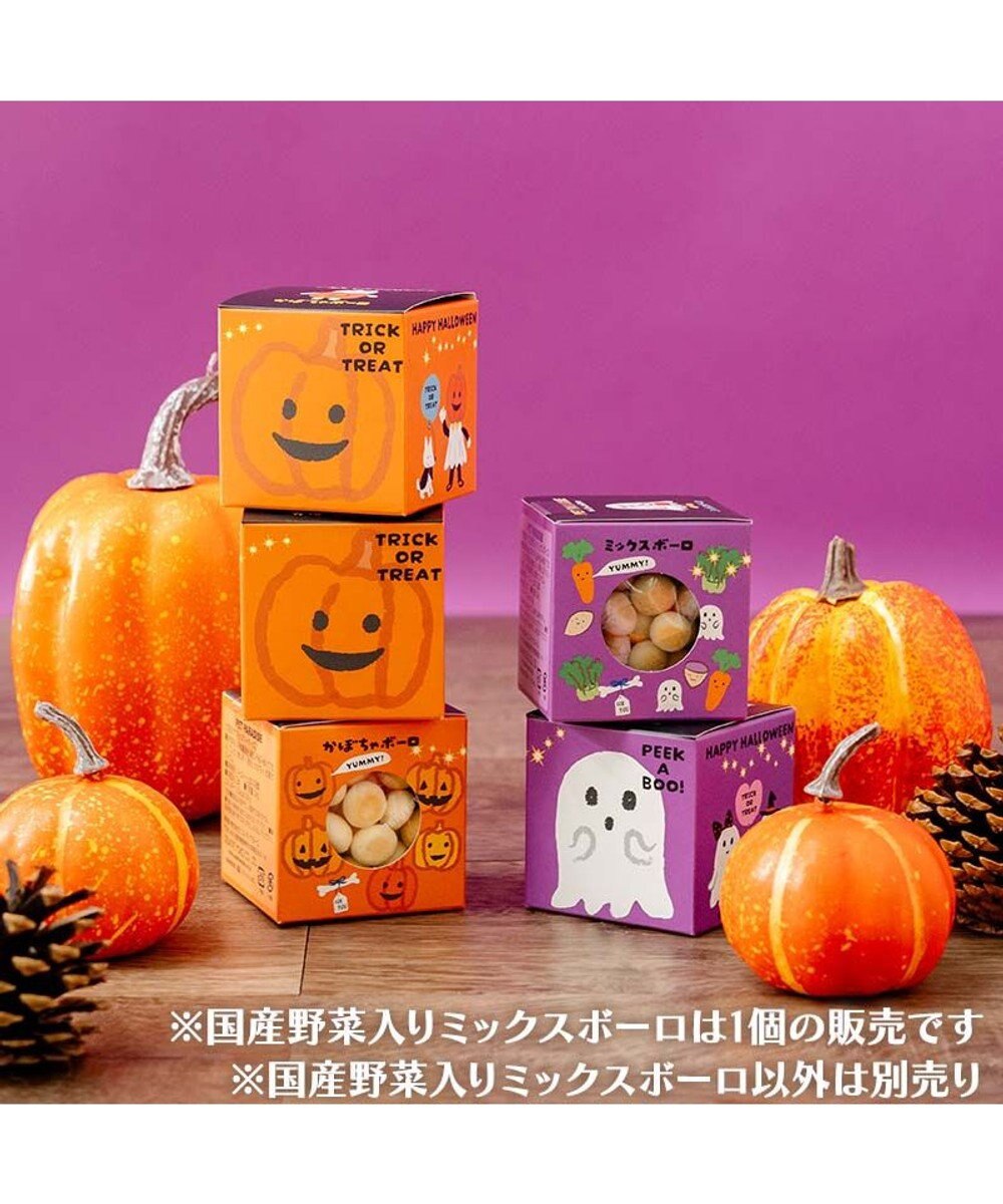 PET PARADISE ハロウィン おばけＢＯＸ ミックスボーロ 