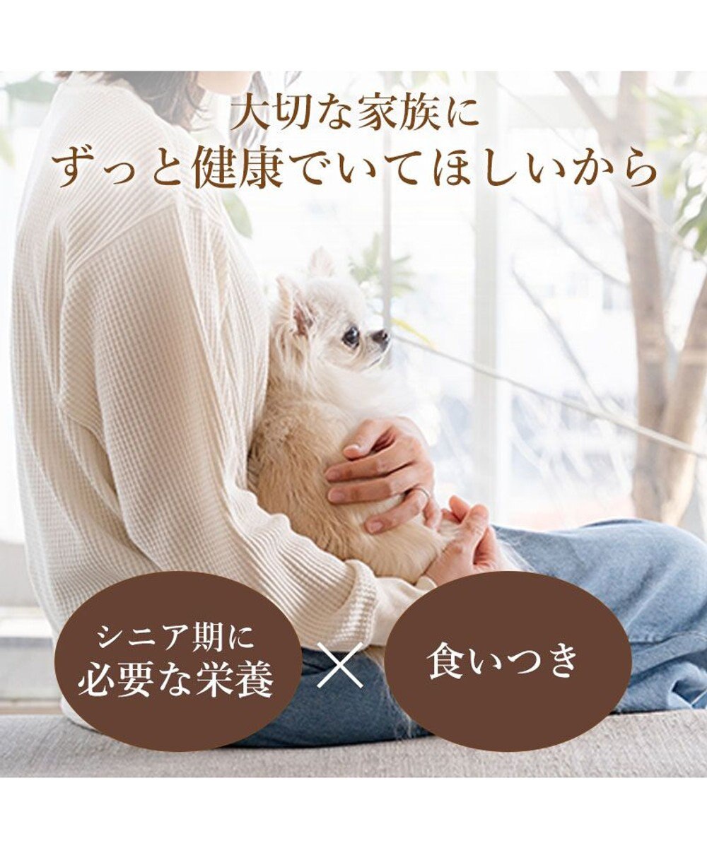 PET PARADISE ビオキッチン エイジングネオ ３ｋｇ 