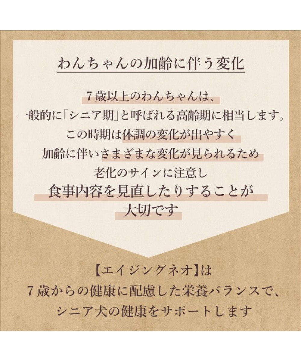 PET PARADISE ビオキッチン エイジングネオ ３ｋｇ 
