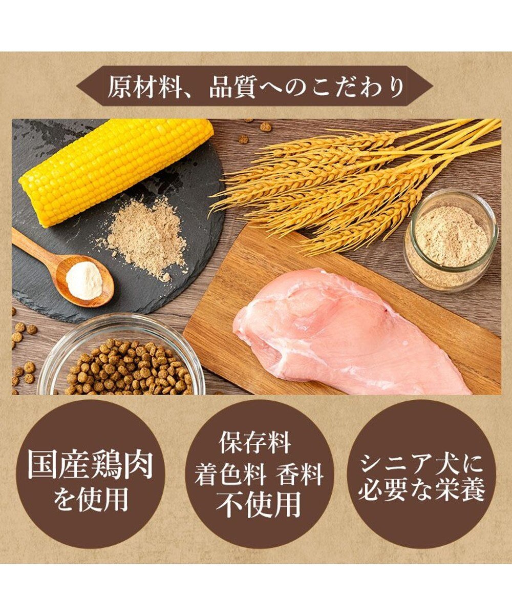 PET PARADISE ビオキッチン エイジングネオ ３ｋｇ 