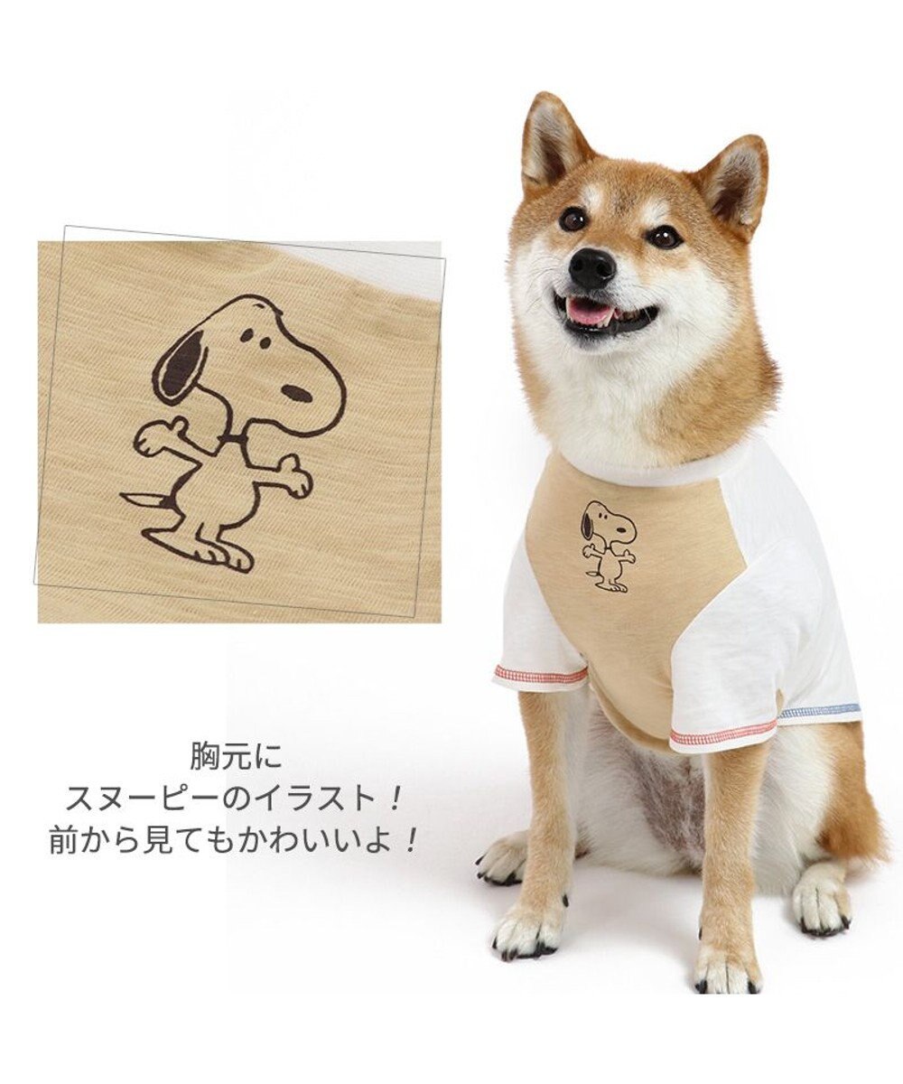 犬 服 スヌーピー tシャツ 中型犬 大型犬 メンバー Pet Paradise 通販 雑貨とペット用品の通販サイト マザーガーデン ペットパラダイス 犬 服 スヌーピー tシャツ 中型犬 大型犬 メンバー Pet Paradise 通販 雑貨とペット用品の通販サイト マザーガーデン ペットパラダイス