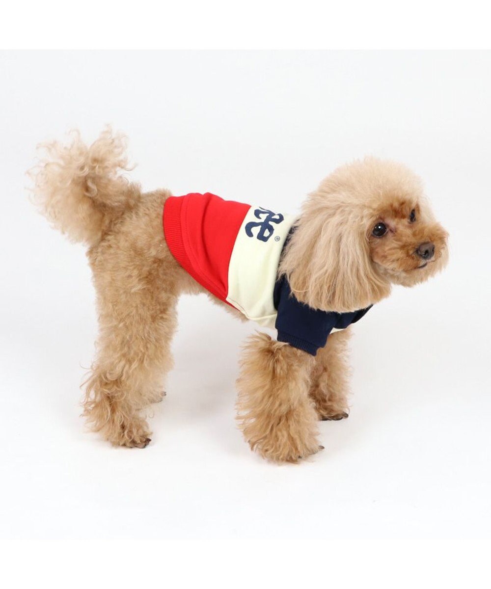 犬 服 Ｌｅｅ トレーナー 【小型犬】 トリコロール 紺, 紺（ネイビー・インディゴ）, ３Ｓ