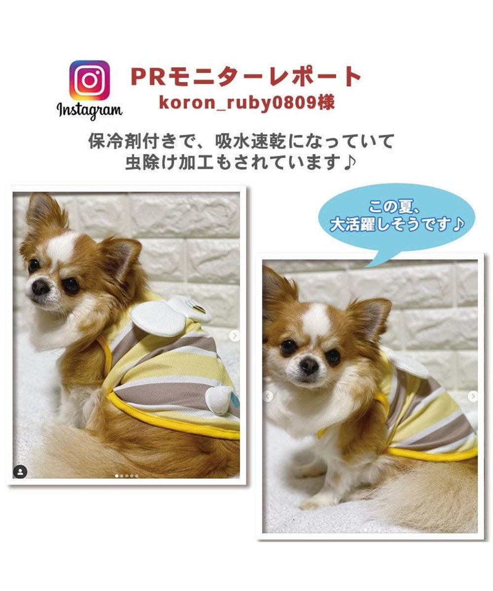 犬 服 春夏 保冷剤付き タンクトップ 小型犬 はち ポケットクール ドッグウエア ドッグウェア イヌ おしゃれ かわいい ひんやり 夏 涼感 冷却 吸水速乾 Pet Paradise 通販 雑貨とペット用品の通販サイト マザーガーデン ペットパラダイス