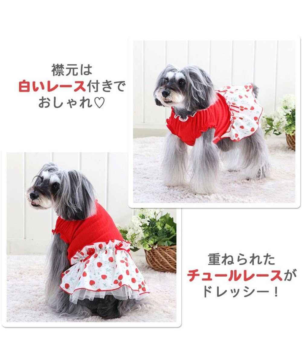 犬 服 春服 ワンピース 小型犬 苺 赤 ペットウエア ペットウェア ドッグウエア ドッグウェア ベビー 超小型犬 小型犬 Pet Paradise 通販 雑貨とペット用品の通販サイト マザーガーデン ペットパラダイス 犬 服 春服 ワンピース 小型犬 苺 赤 ペットウエア ペットウェア ドッグウエア ドッグウェア ベビー 超小型犬 小型犬 Pet Paradise 通販 雑貨とペット用品の通販サイト マザーガーデン ペットパラダイス