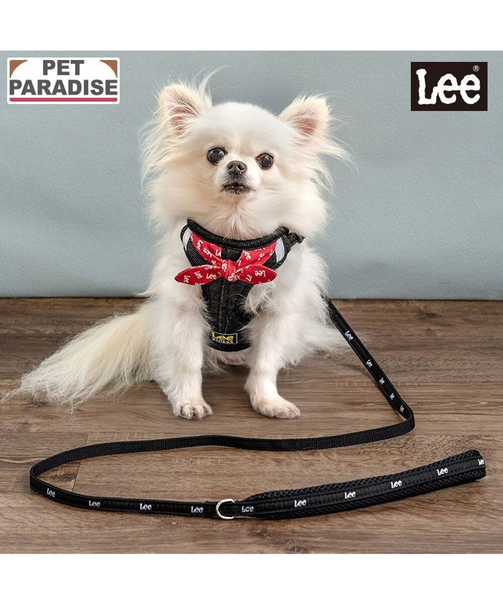 PET PARADISE Lee ループノット ハーネス＆リード 小型犬 ＳＳ ブラック
