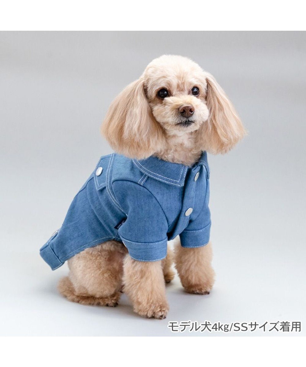 PET PARADISE J.PRESS デニムジャケット 春 小型犬 