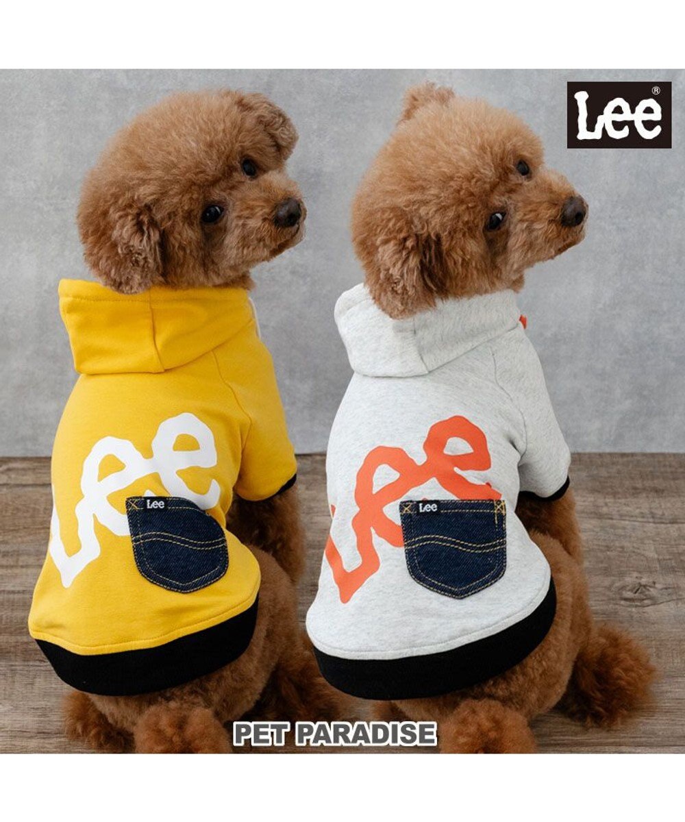 PET PARADISE Lee ビッグ ロゴ パーカー 《イエロー》 小型犬 