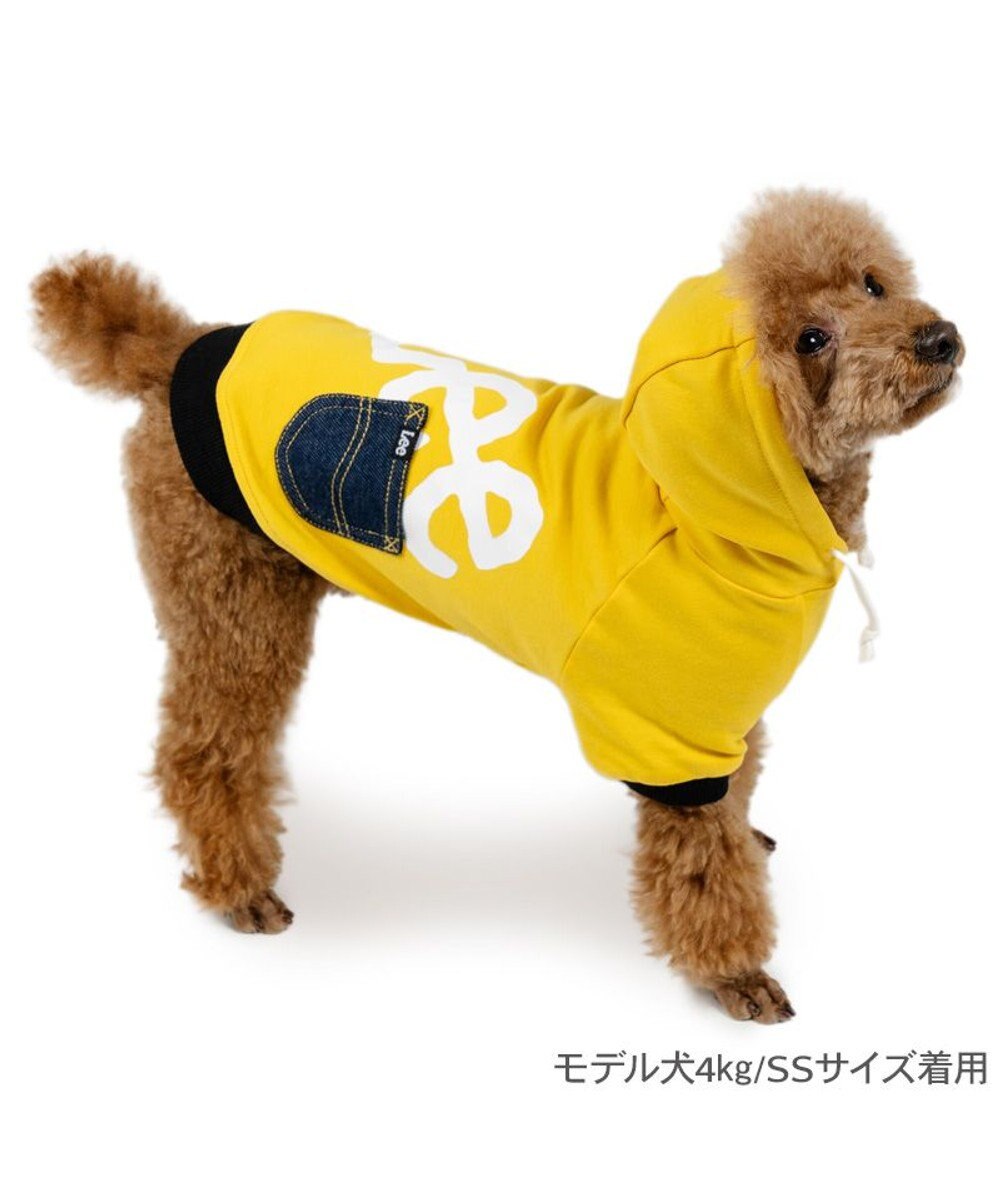 PET PARADISE Lee ビッグ ロゴ パーカー 《イエロー》 小型犬
