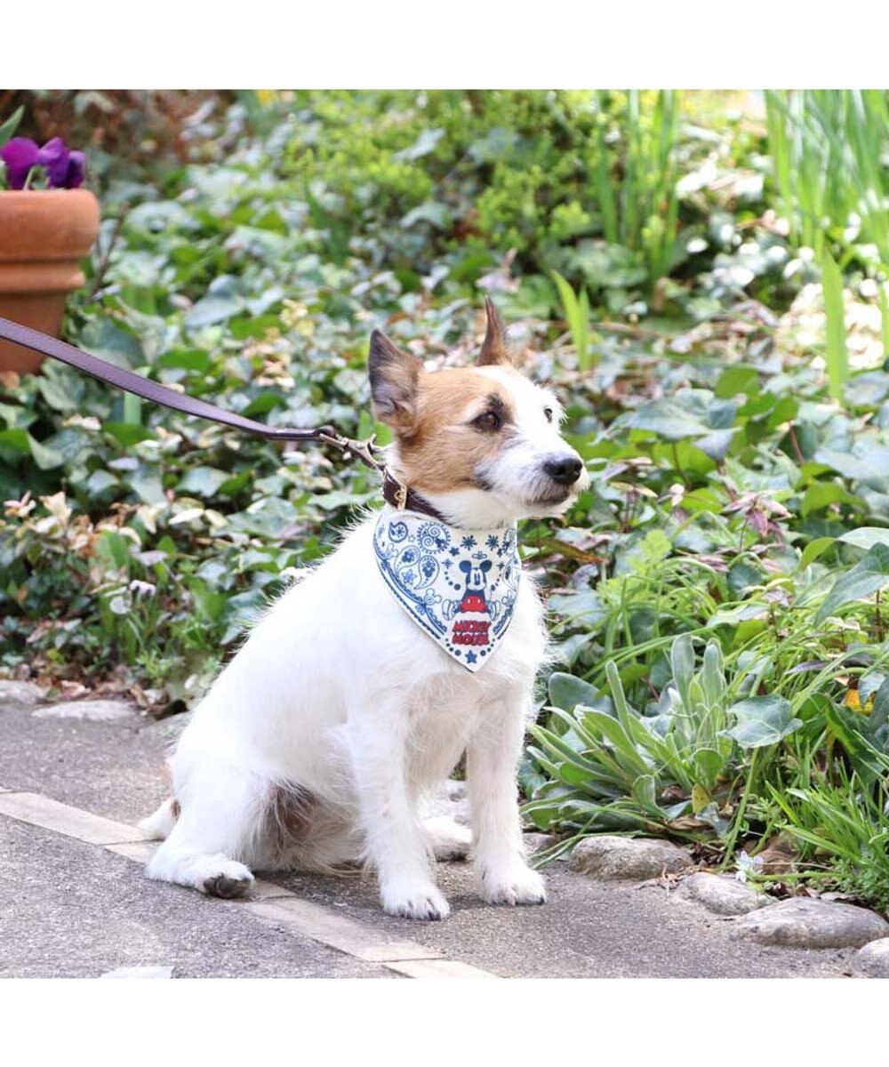 ひんやり バンダナ 保冷剤付き ディズニー ミッキーマウス クールバンダナ 〔小型犬〕 ペイズリー柄 ネッククーラー 夏 ひんやり バンダナ ひんやり  涼感 冷却 吸水速乾, 紺（ネイビー・インディゴ）, ３Ｓ