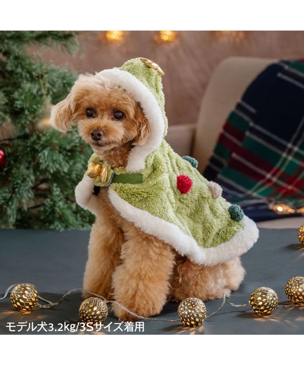 PET PARADISE ペットパラダイス ツリー ポンチョ 2026 小型犬 