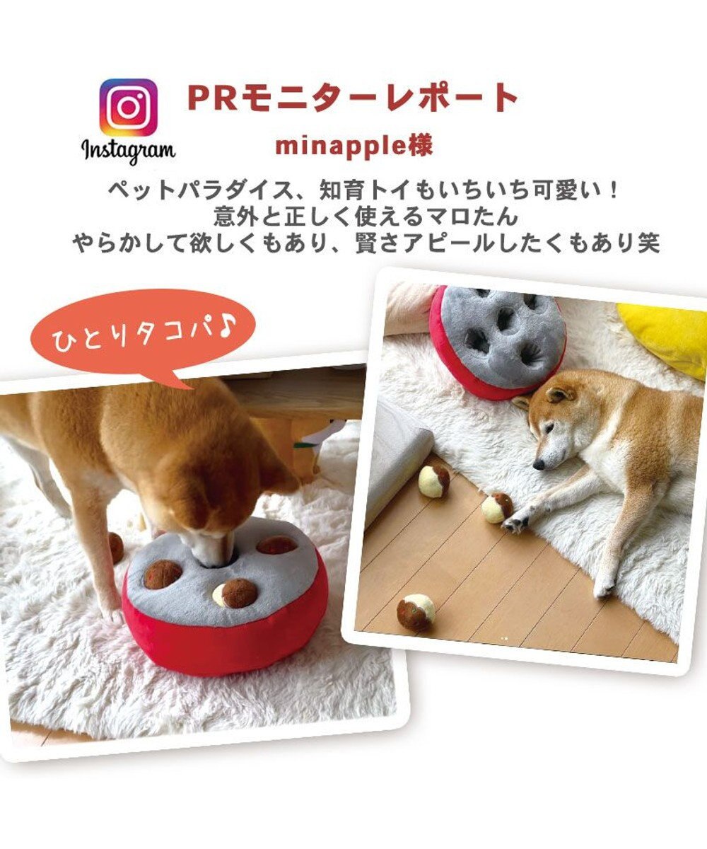 PET PARADISE ノーズ おもちゃ たこやき 苺ケーキ 