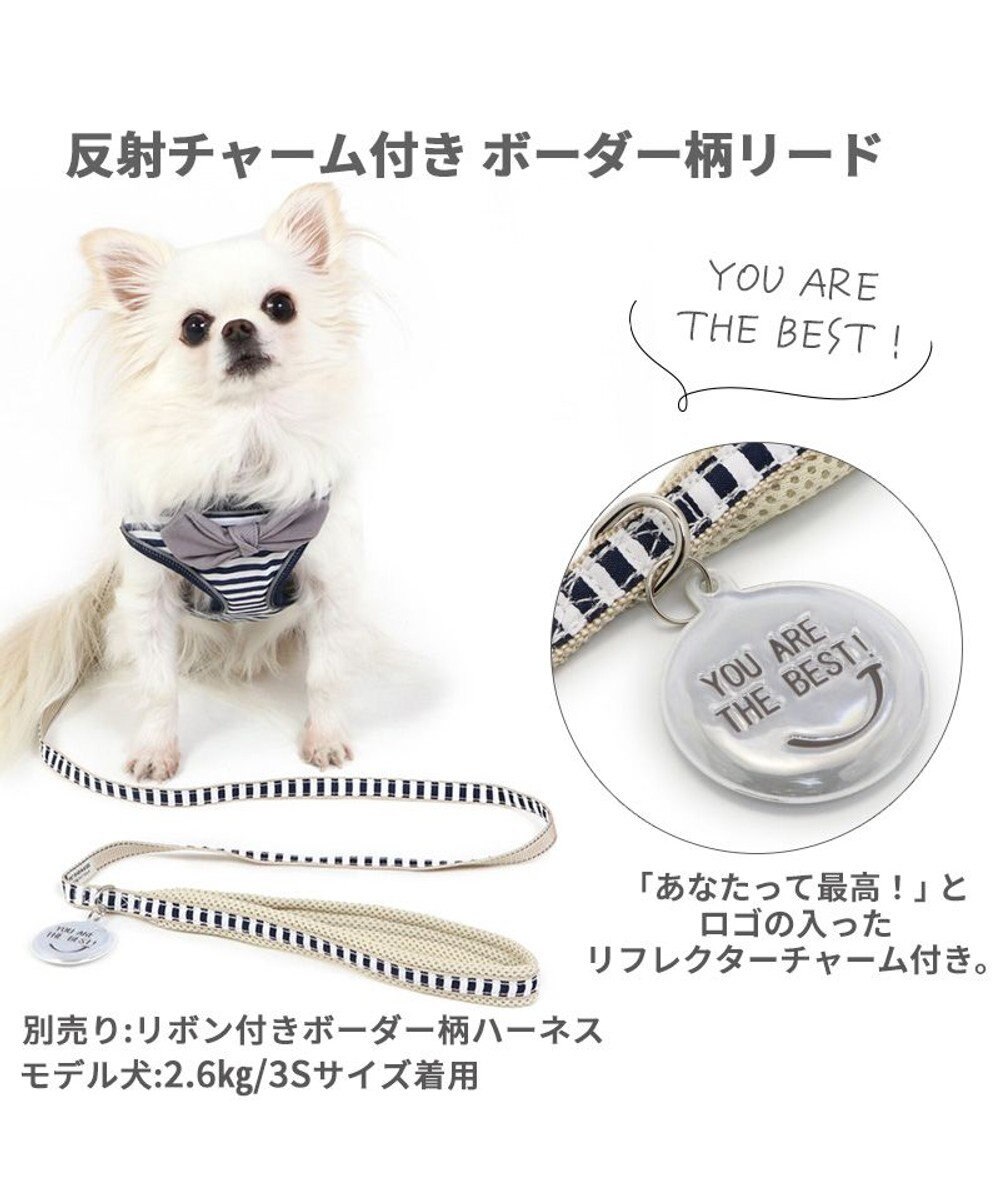 PET PARADISE 犬 リード 【４Ｓ~３Ｓ】 ボーダー 