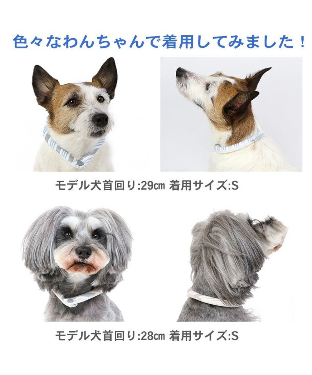 PET PARADISE クールリング 犬 クールネック ひんやり 28℃クールリング 【Ｓ】 リフレクター 水色 ベージュ  反射材付き 