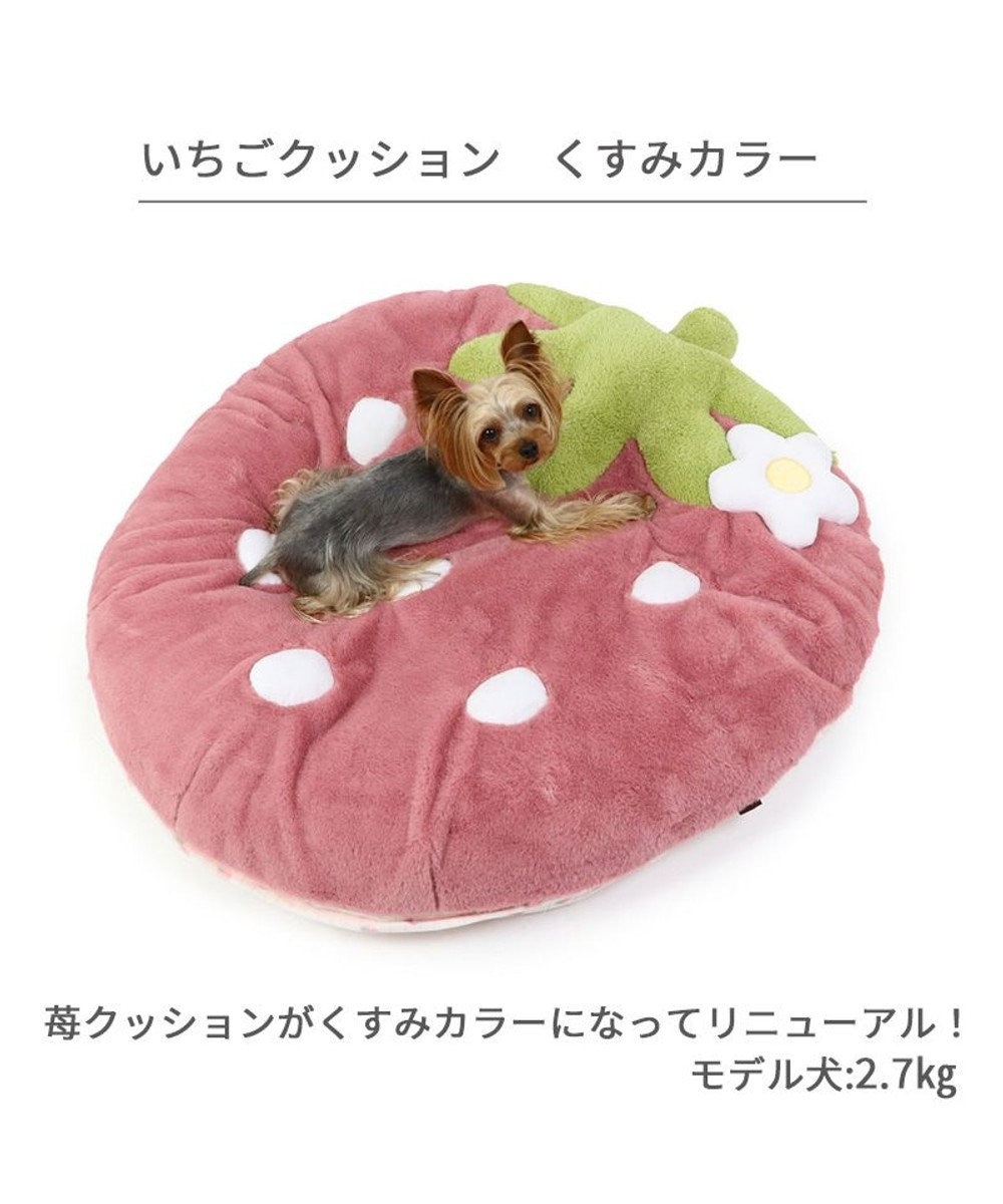 ネット店限定 くすみ苺 クッション (90×92cm) 小型犬 / PET