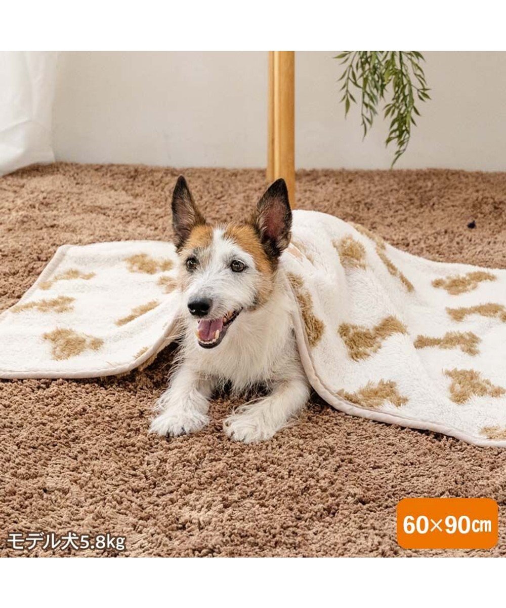 PET PARADISE ペットパラダイス くまちゃん織り ボア ブランケット 