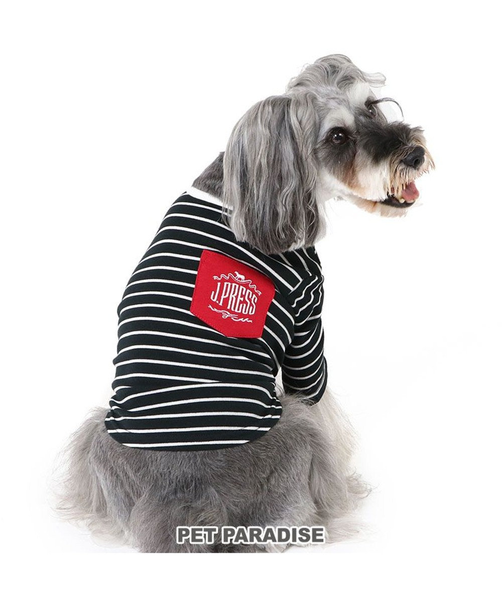 PET PARADISE J.PRESS フライス Tシャツ 《ボーダー》 小型犬 ボーダー