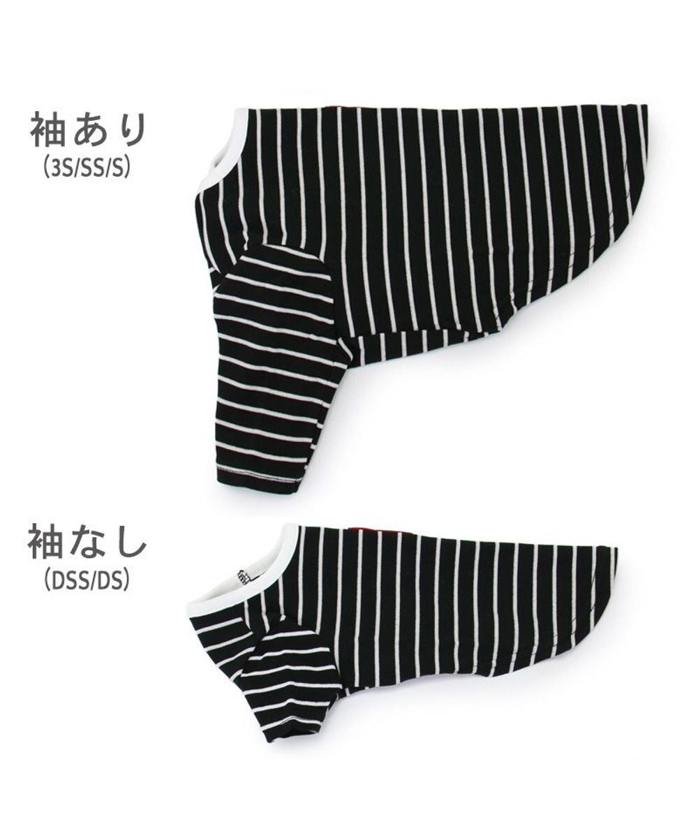 PET PARADISE J.PRESS フライス Tシャツ 《ボーダー》 小型犬 