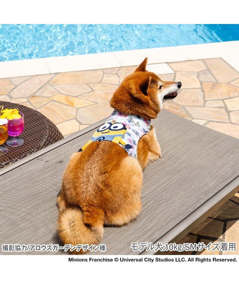 PET PARADISE ミニオン クールベスト 《アイス柄》 中型犬 