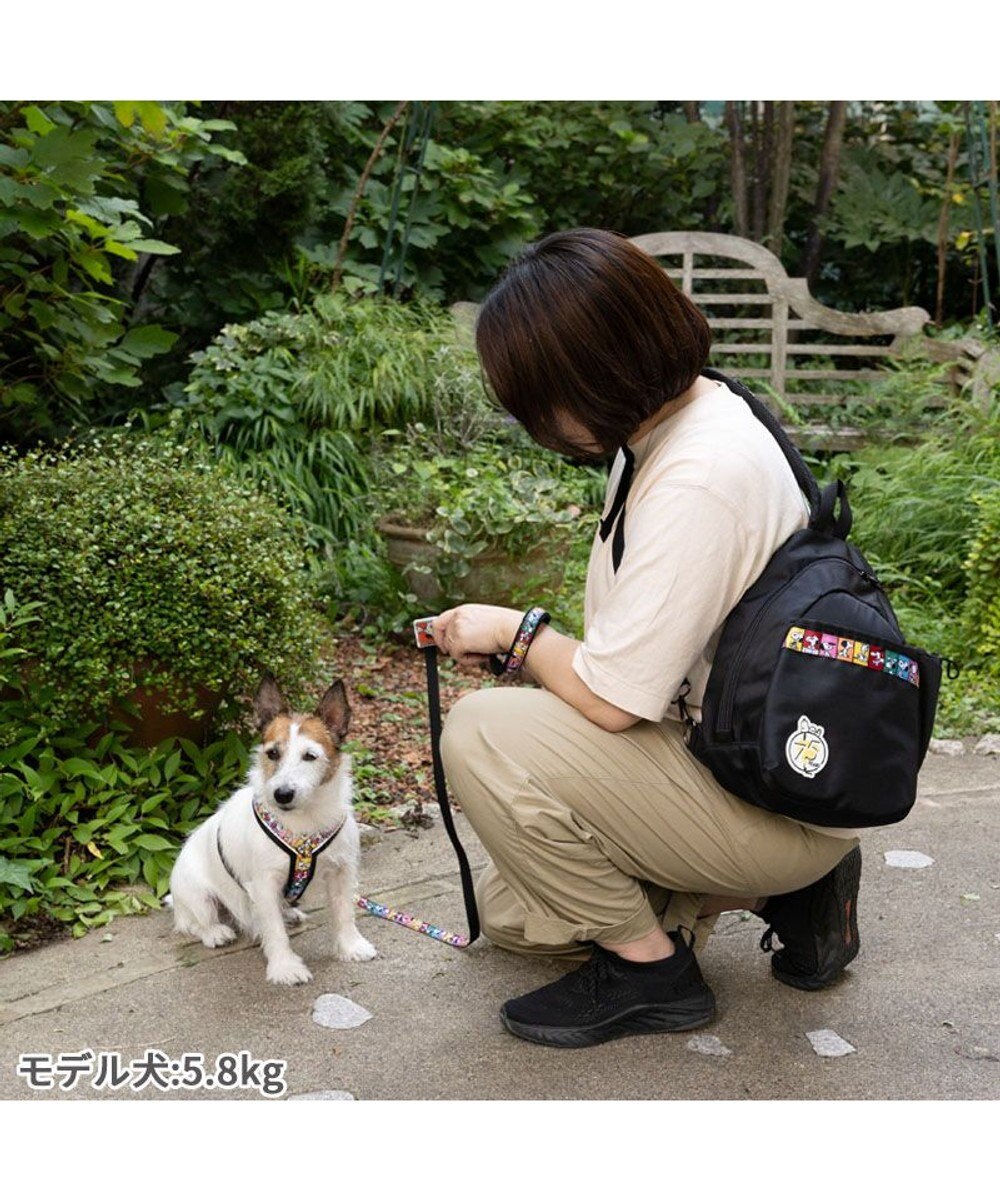 PET PARADISE スヌーピー 75周年 お散歩ショルダー 