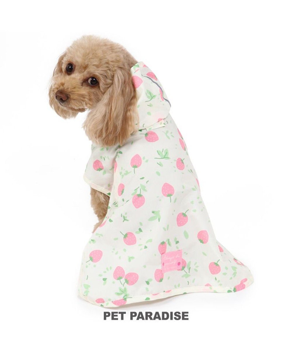 犬 レインコート 苺柄 レインマント 小型犬 ドッグウエア ドッグウェア イヌ おしゃれ かわいい Pet Paradise 通販 雑貨とペット用品の通販サイト マザーガーデン ペットパラダイス 犬 レインコート 苺柄 レインマント 小型犬 ドッグウエア ドッグウェア イヌ おしゃれ かわいい Pet Paradise 通販 雑貨とペット用品の通販サイト マザーガーデン ペットパラダイス