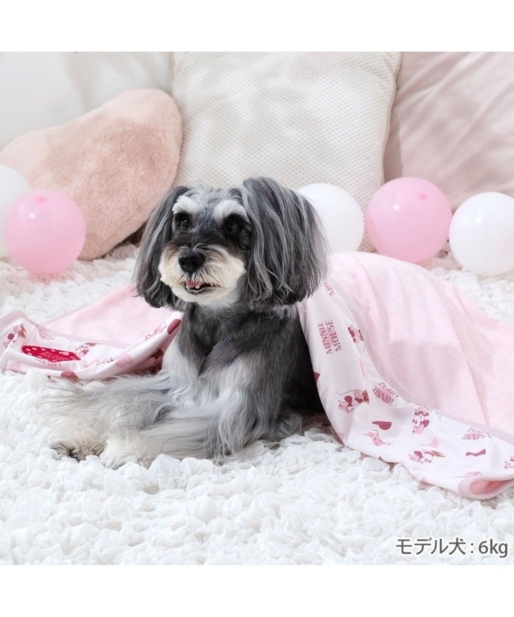PET PARADISE ディズニー ミニーマウス クール ブランケット 《ハート柄》