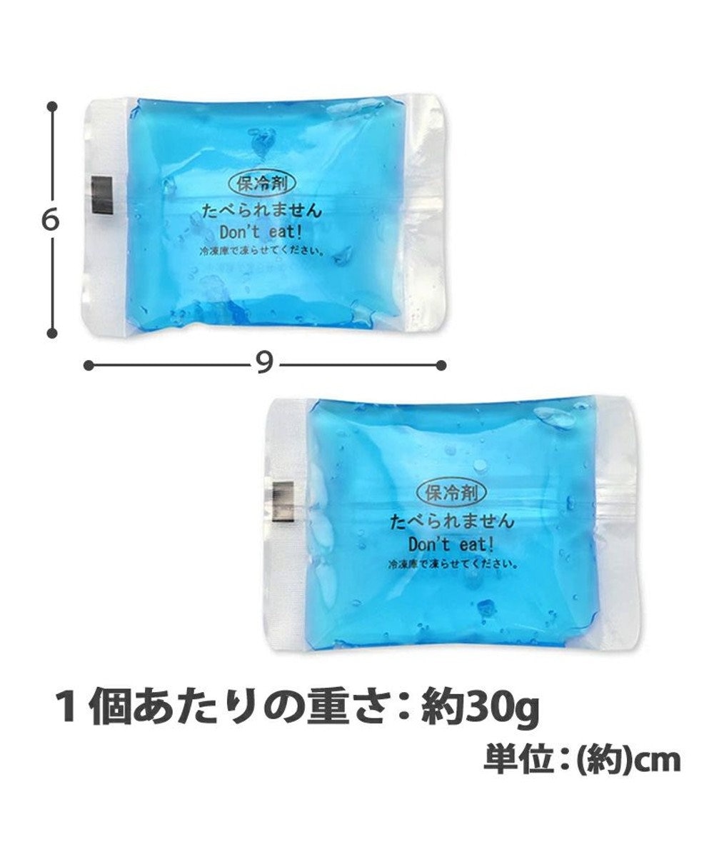 ペットパラダイス ポケット 保冷剤 【大】30g×2個セット / PET
