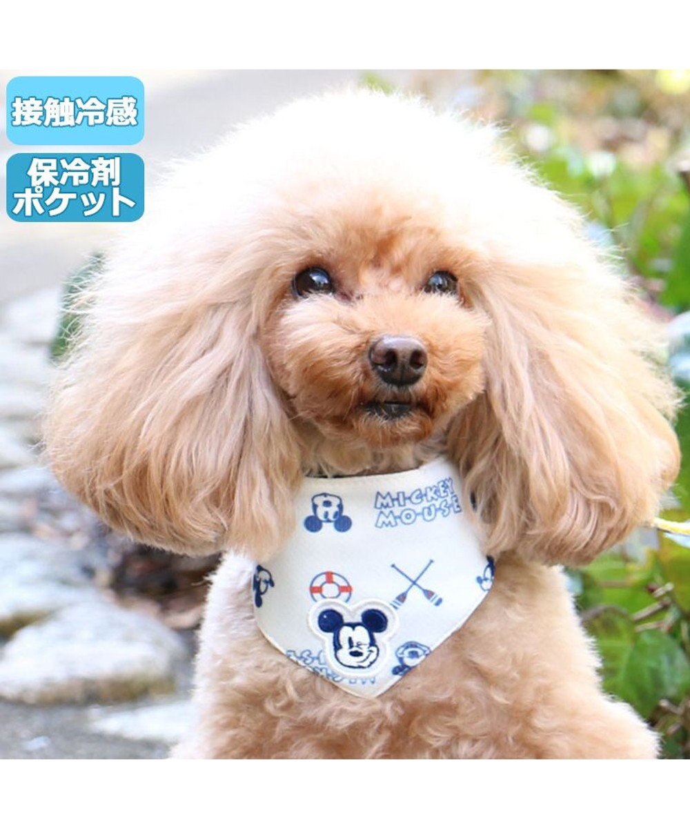犬 クール バンダナ ひんやり 夏 保冷剤付き ディズニー ミッキーマウス マリン柄 ネッククーラー 小型犬 首元 ひんやり バンダナ ひんやり 涼感 冷却 吸水速乾 キャラクター Pet Paradise 通販 雑貨とペット用品の通販サイト マザーガーデン ペットパラダイス 犬 クール バンダナ ひんやり 夏 保冷剤付き ディズニー ミッキーマウス マリン柄 ネッククーラー 小型犬 首元 ひんやり バンダナ ひんやり 涼感 冷却 吸水速乾 キャラクター Pet Paradise 通販 雑貨とペット用品の通販サイト マザーガーデン ペットパラダイス