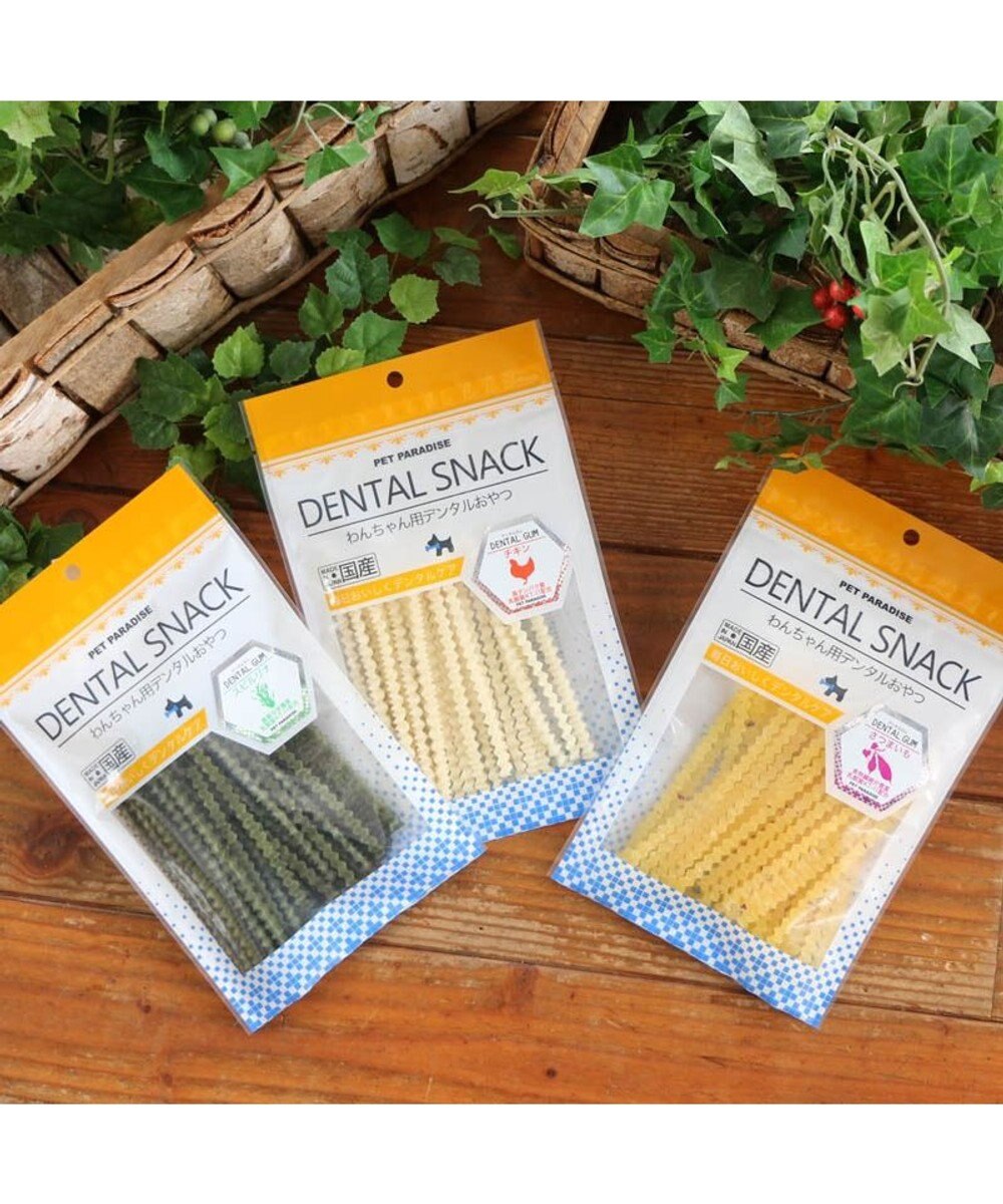 PET PARADISE デンタルガム スピルリナ 100g 国産 