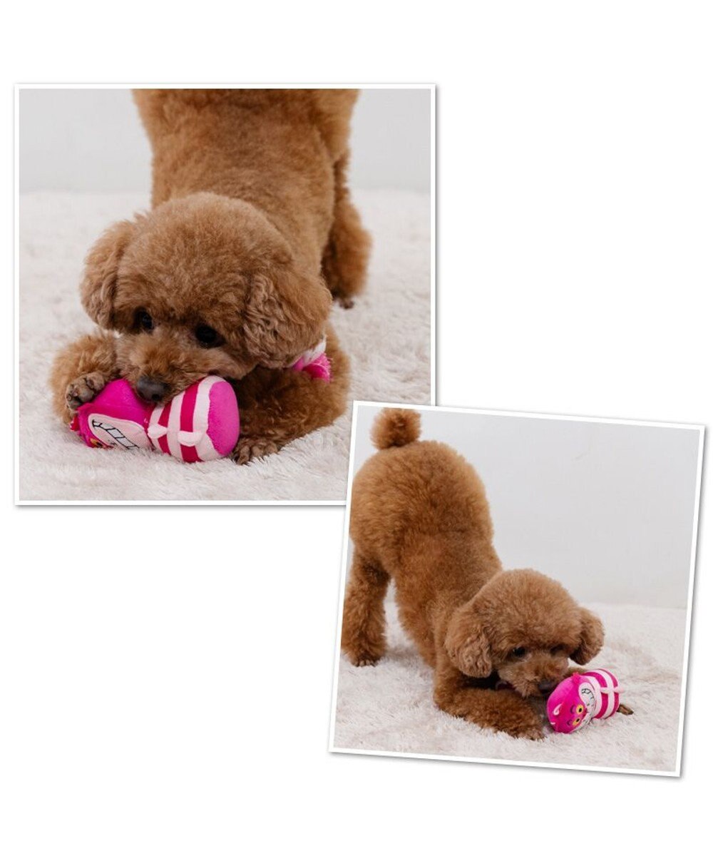 PET PARADISE ディズニー チェシャ猫 ロープトイ 