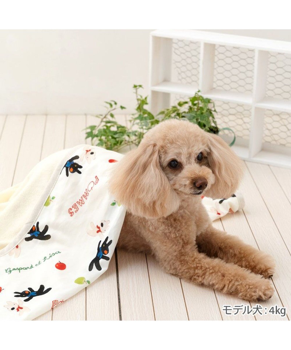 PET PARADISE リサとガスパール クールケット 《リンゴ柄》 