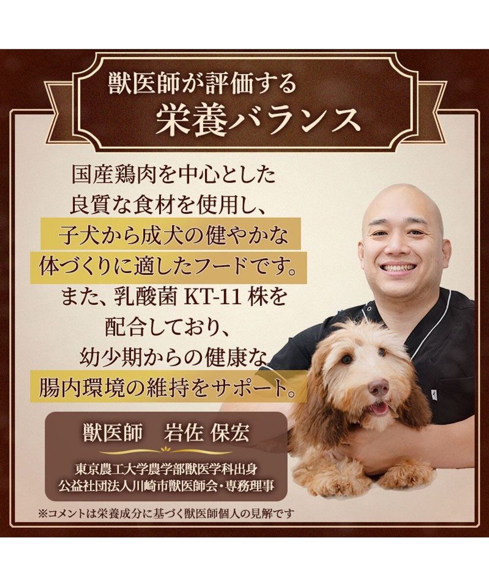 PET PARADISE ペットパラダイス ドッグフード ビオキッチン 3kg 国産 